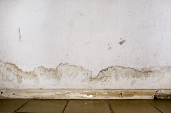 Water damage restoration in Blue Bell home showing flooding aftermath