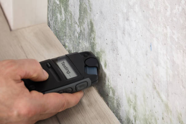 Professional performing water damage restoration in Spring House with advanced moisture meters and thermal imaging
