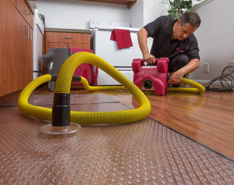 best insurance claim restoration in Blue Bell - PuroClean team using drying equipment during water damage restoration
