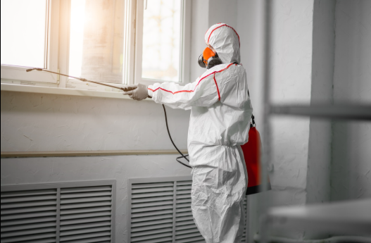 Certified specialists performing water damage restoration in Spring Mount with mold remediation protocols
