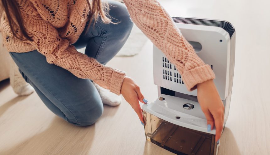 Best Practices for Using a Dehumidifier