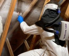 Mold Removal and Remediation Services in Norristown Mold Removal and Remediation Services in Conshohocken