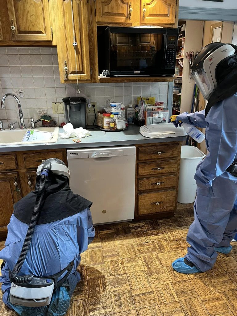 Biohazard Cleanup Services being carried out by our team 1