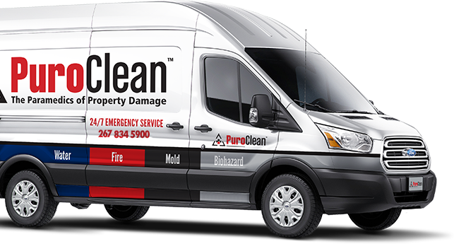 water damage restoration havertown Mold Removal and remediation services in Royersford, PA