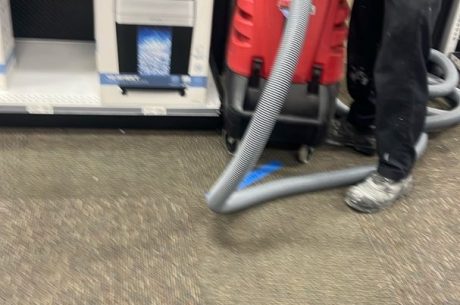 mold remediation and removal