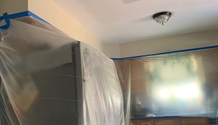 Stop the Mold Smell in Carpet Before It Worsens: Here's How