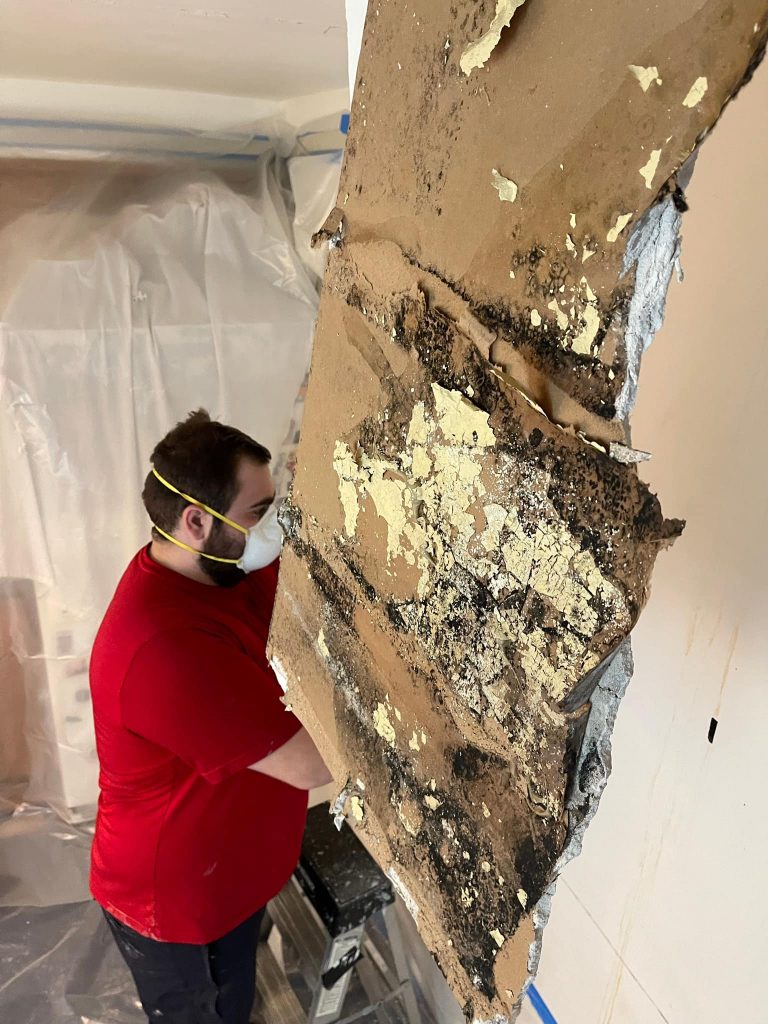 Indoor Air Quality
