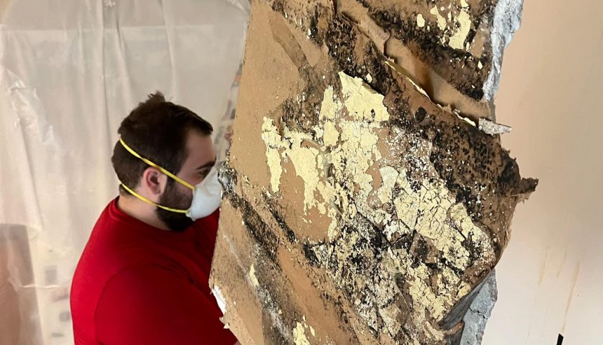 Indoor Air Quality