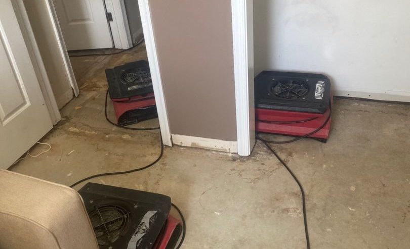 Water Damaged Wood Floors