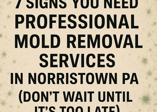 7 Signs You Need Professional Mold Removal Services in Norristown PA (Don't Wait Until It's Too Late)