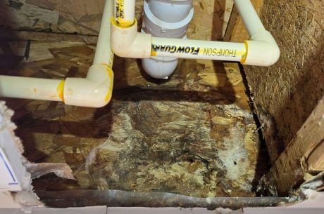 mold under bathroom