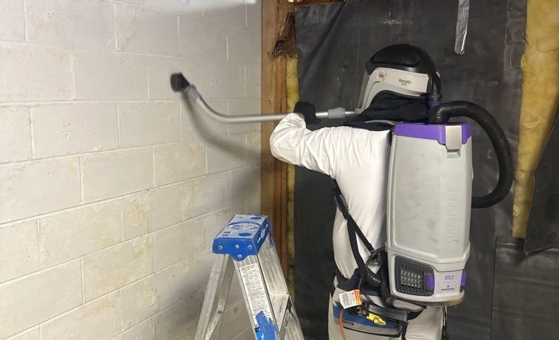 Complete Guide to Basement Mold Removal Costs in Lansdale, PA