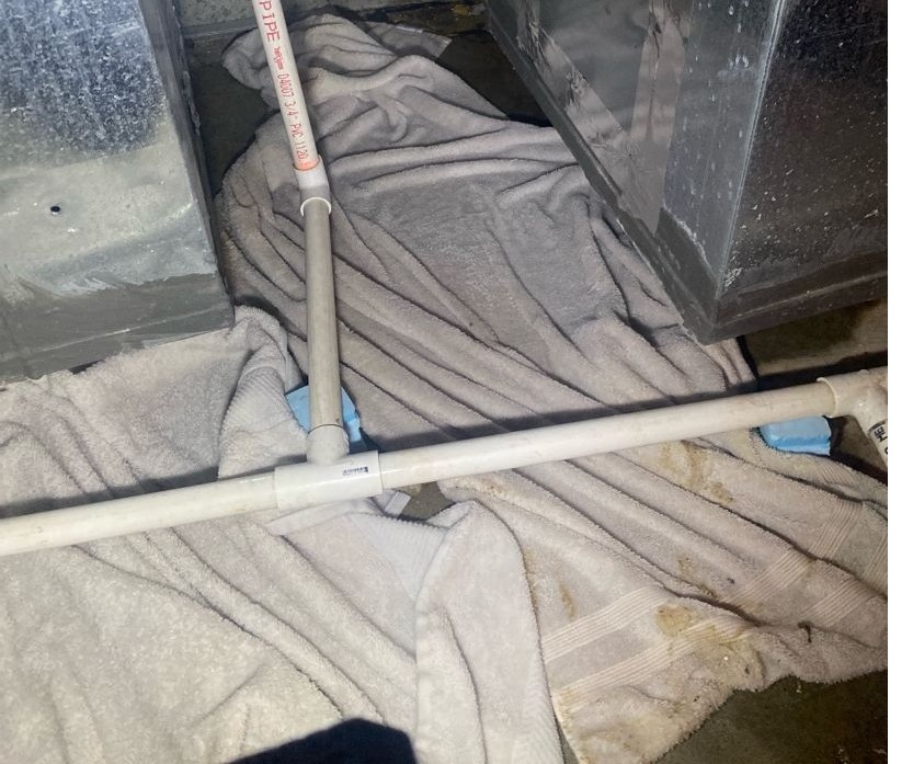 Water Mitigation in Fountainville, PA: A Complete Guide to Protecting Your Home