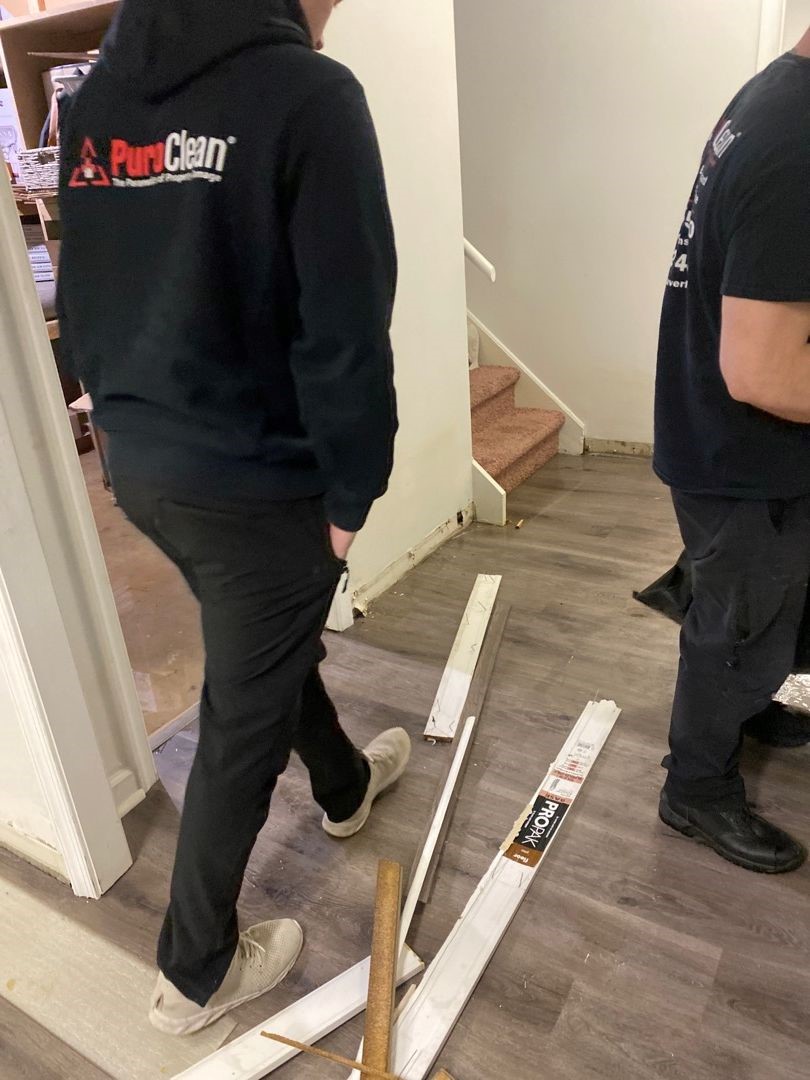 Professional Smoke Damage Restoration & Air Purification Services