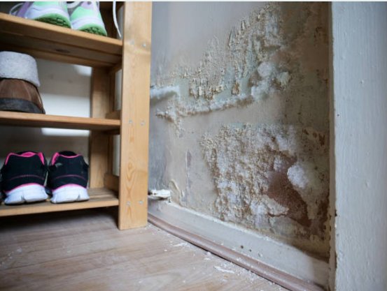 Signs of water damage restoration in Horsham showing moisture damage and potential mold
