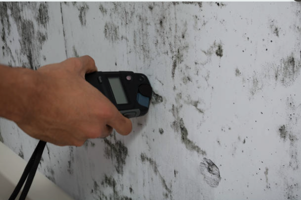 Professional water damage restoration in Fort Washington using moisture detection technology