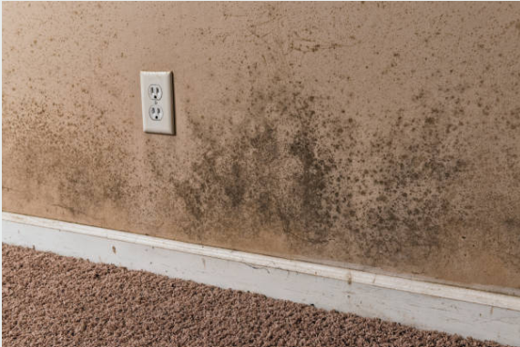 Signs of water damage restoration in Horsham showing moisture damage and potential mold