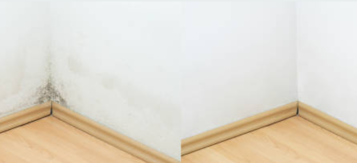 Professional water damage restoration in North Wales mold removal and prevention results