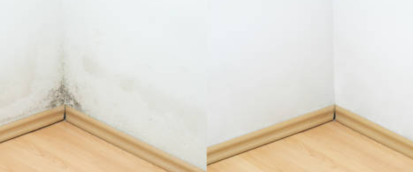 Water damage restoration in Schwenksville before and after professional service results