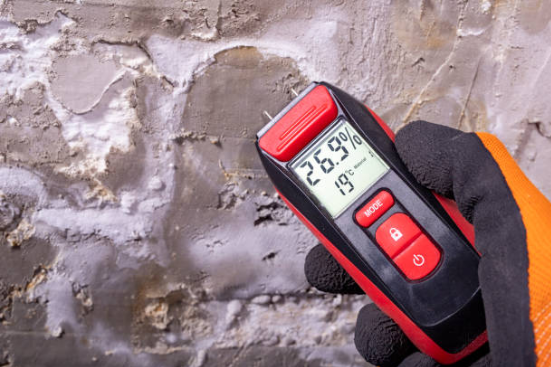 Water damage restoration in Ambler professional moisture detection