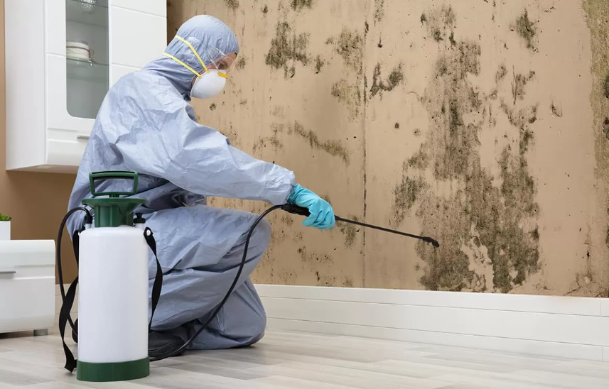 Water damage restoration in Schwenksville mold prevention and remediation specialist