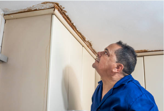 Water damage restoration in North Wales professional assessing ceiling and wall damage