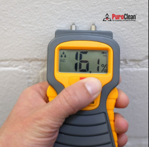 A PuroClean technician completing a digital moisture log on a tablet; data visible on-screen; standing in a partially demolished drywall area of a home showing the assessment and documentation process| Insurance Claim Restoration in Ambler