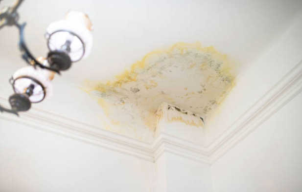 5 Devastating Warning Signs Requiring Immediate Water Damage Restoration in Spring Mount