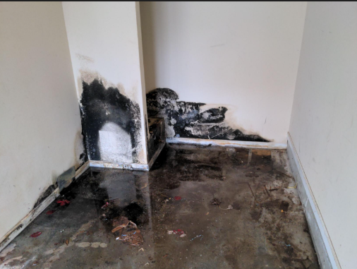 visible mold growth sign of hidden water damage Montgomery County basement