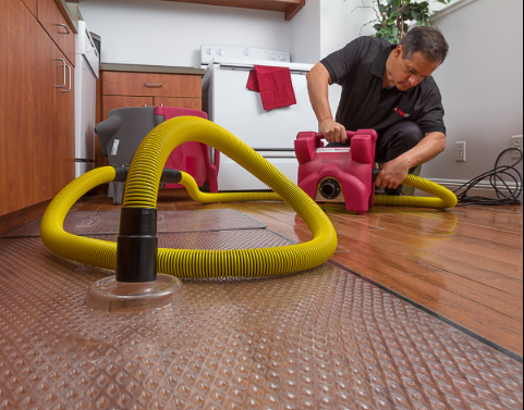 PuroClean water damage restoration service provider checking for water seeping through floor