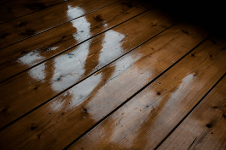 Can Water-Damaged Hardwood Floors Be Saved? A Montgomery County Homeowner’s Complete Guide to Hardwood Floor Water Damage Repair
