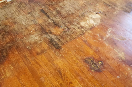 How Much Does Water Damage Floor Repair Cost in Montgomery County PA? (5 Honest Factors That Change Everything)