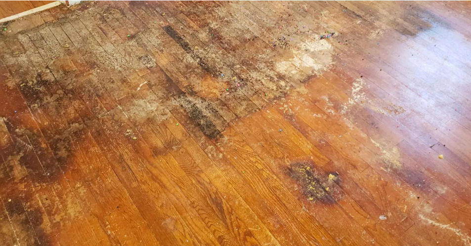How Much Does Water Damage Floor Repair Cost in Montgomery County PA? (5 Honest Factors That Change Everything)