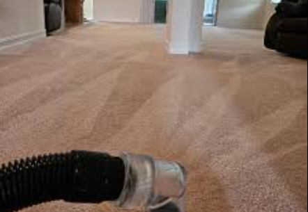 How to Dry Wet Carpet Fast at Home: 8 Proven Tips from Water Damage Pros in Montgomery County