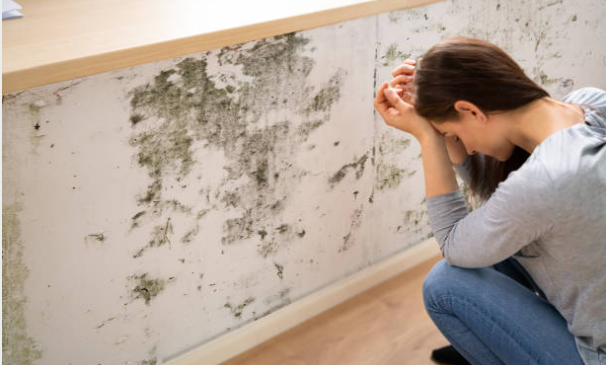 Top 15 Proven Answers to the Most Common Water Damage FAQs in Montgomery County, PA