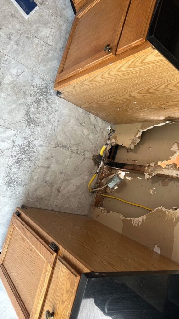 mold in your rental
