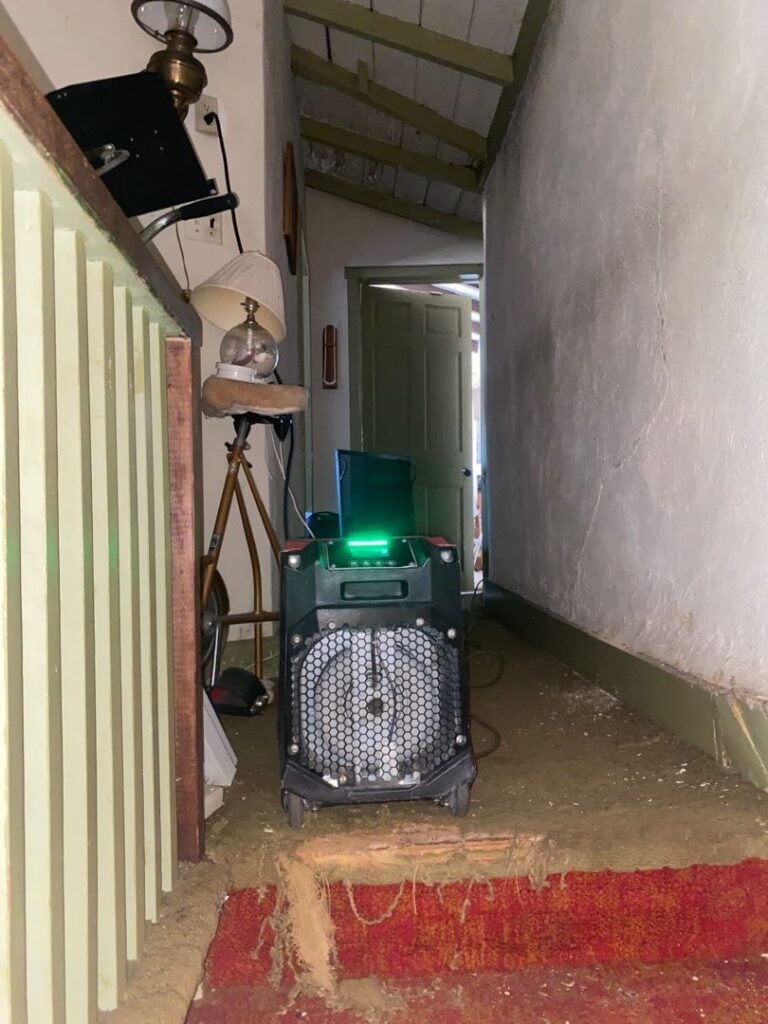 remove cigarette smoke odor from a home