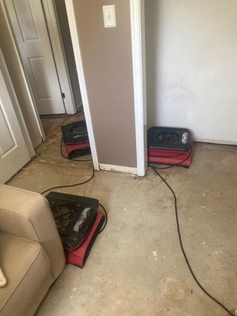 Water Damaged Wood Floors
