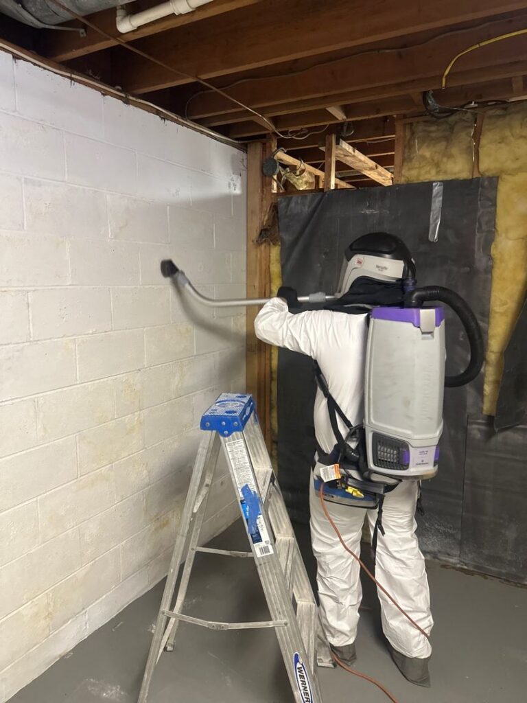 Complete Guide to Basement Mold Removal Costs in Lansdale, PA