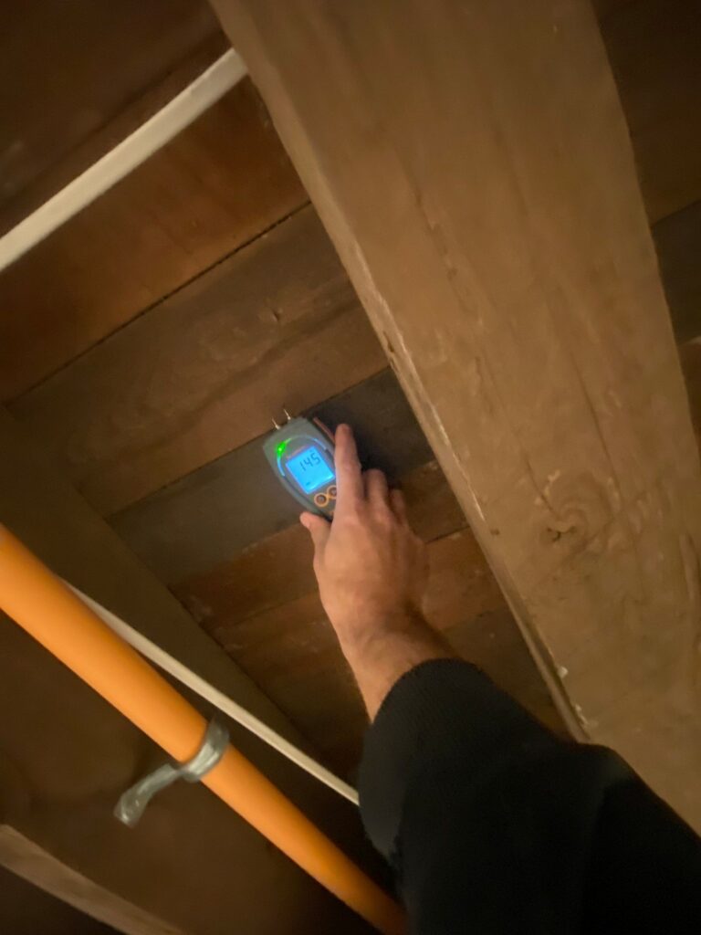 Mold Remediation in King of Prussia
