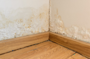 signs of hidden water damage drywall mold Montgomery County home