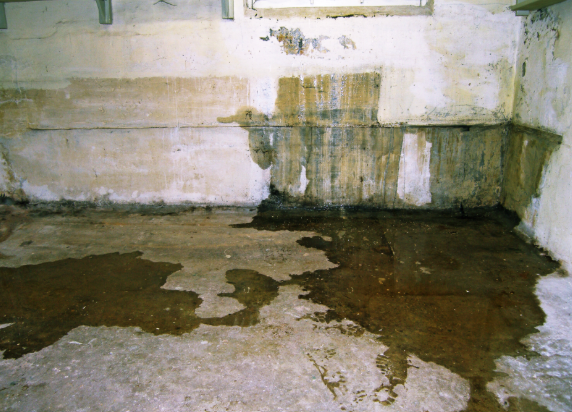 Water seeping through floor in a Pennsylvania home basement