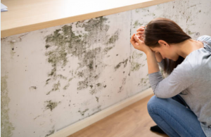 Homeowner inspecting water damage ceiling in Montgomery County PA ; water damage faqs