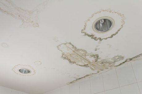 Water Damaged Ceilings