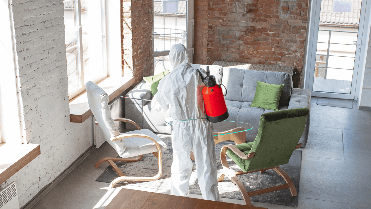 Mold Remediation Experts Near You in Scottsdale, Az