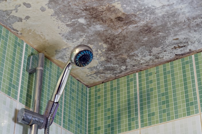 Bathroom Mold Removal: A Comprehensive Guide to a Mold-Free Space in Scottsdale, AZ