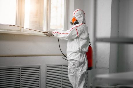 mold