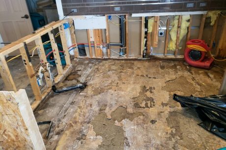 water restoration