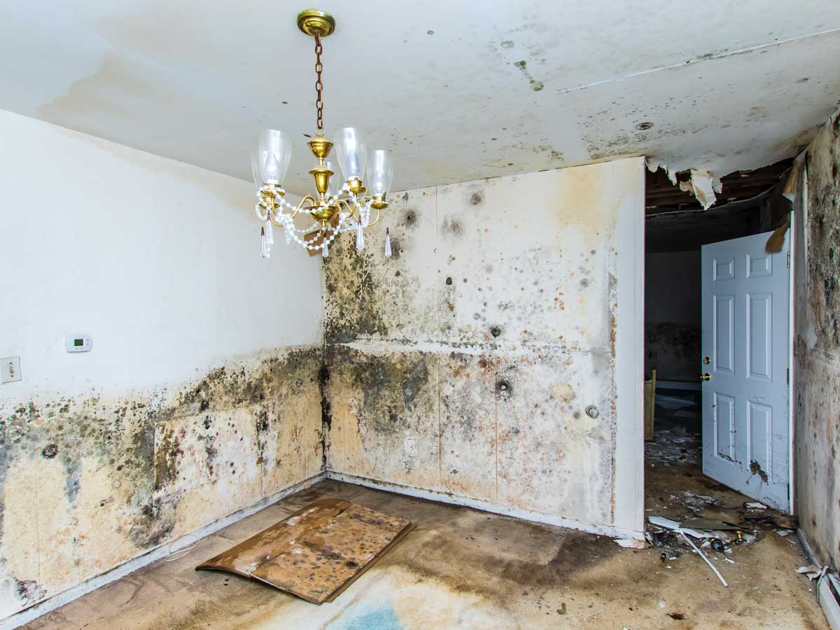What are the different categories of water damage and why does it matter