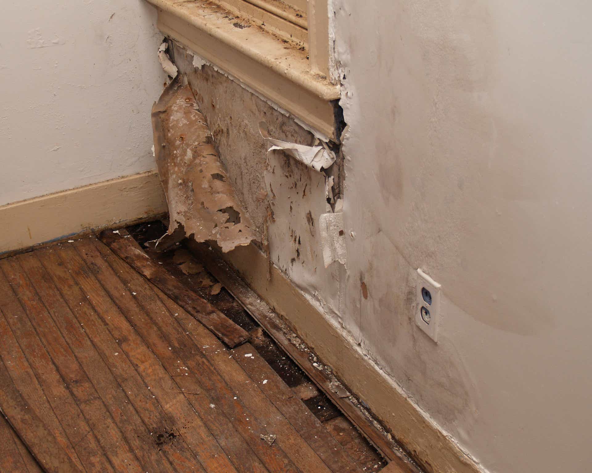 Who to Contact for Emergency Water Damage? Expert Help 24/7